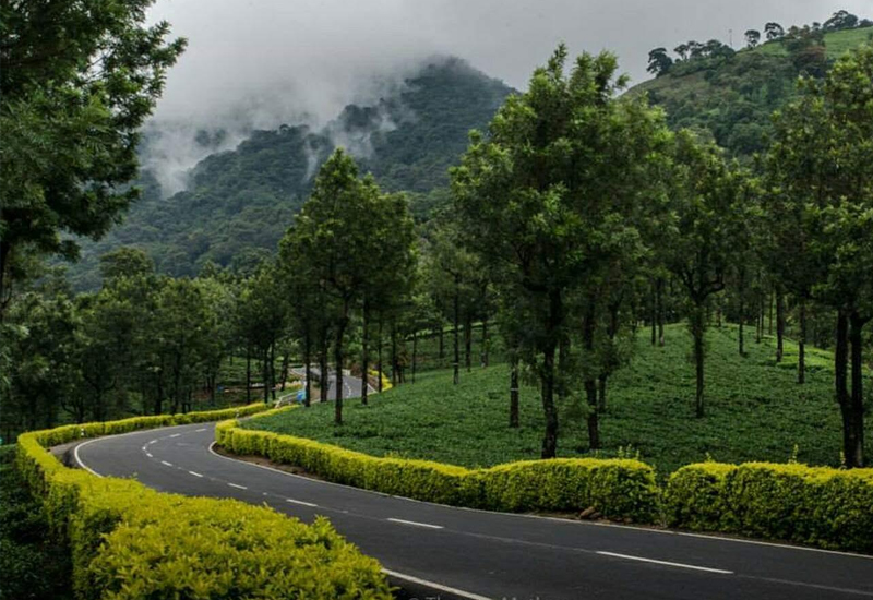 Parambikulam -Valparai 2 Night 3 Days